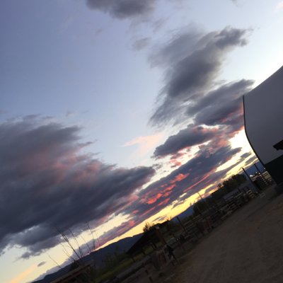 Profile Picture of Robyn Couch (@RobynEmilyCouch) on Twitter