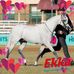 Profile Picture of Linda Daetz (@linda.daetz) on Facebook