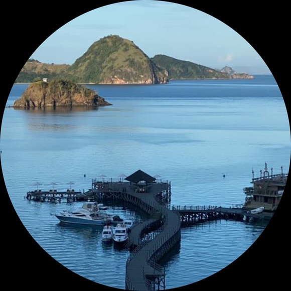 Profile Picture of Alice Guzowski (@aguzowski) on Poshmark