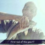 Profile Picture of Kenneth Klem (@hurfishifishi) on Instagram