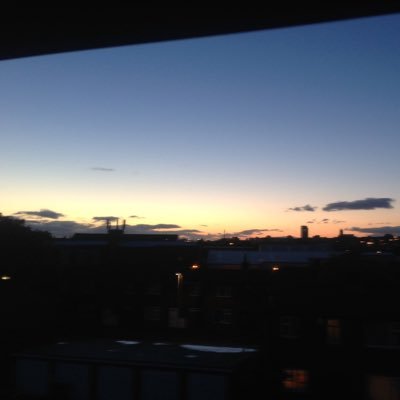 Profile Picture of Bob Bash (@BobSammi) on Twitter