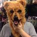 Profile Picture of Larry Pawlak (@larry.pawlak) on Facebook