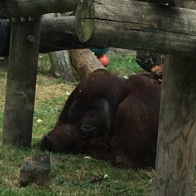 Profile Picture of Jodie (@JodieWolf04) on Twitter