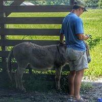 Profile Picture of Hal Stephenson (@hal-stephenson-1) on Quora