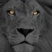Profile Picture of Nicholas Boyd (@nicholas.boyd.566) on Facebook