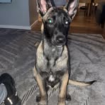 Profile Picture of Bailee Foster (@Bailee-Foster) on Facebook