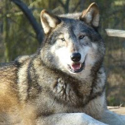 Profile Picture of Bill Hutchings (@billhutchings) on Twitter