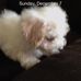 Profile Picture of Mildred Kyle (@mildred.kyle.921) on Facebook