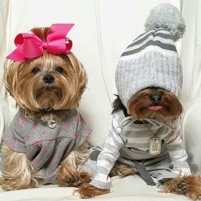 Profile Picture of Dany E Ci  ⛄ ☁ ☔ ❄ ⛄ ⛅ 🌂 ⛄ ☁ ❄ ☔ ⛄ (@Cinzia88299551) on Twitter