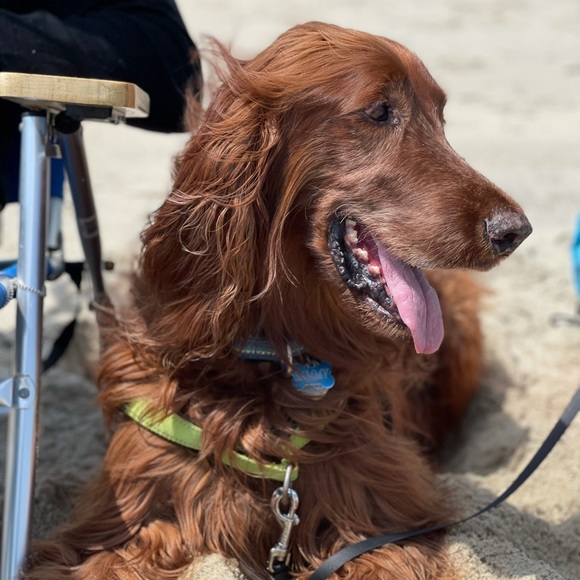 Profile Picture of Ostap Dovirak (@dovie123) on Poshmark