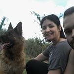 Profile Picture of Steven Parisi (@parisisteven) on Instagram