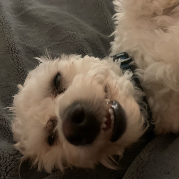 Profile Picture of Cassi Stewart (@stewartcarmen) on Poshmark