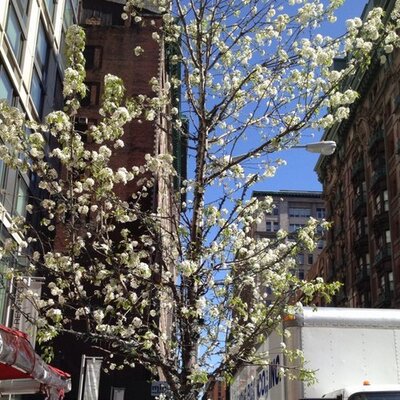 Profile Picture of Heather Jung Hahn (@junghahn) on Twitter