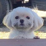 Profile Picture of 김한슬 (@kimhax.uni_corn) on Instagram