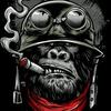 Profile Picture of David Orme (@@davidorme0) on Tiktok