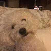 Profile Picture of Trudy Andrews (@trudy-andrews) on Quora