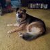 Profile Picture of James Alberson (@james.alberson.35) on Facebook