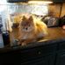 Profile Picture of Lori Fraley (@lori.fraley.315) on Facebook