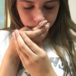 owner; kaya - Instagram Profile Picture of owner; kaya (@george.the.gecko) on Instagram