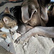 Profile Picture of Jeff Nance (@jeffnance9462) on Youtube