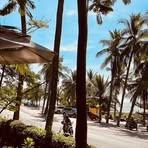 Profile Picture of Alex Perfect (@alex.perfect.645895) on Facebook