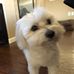 Profile Picture of Brent Fuhrman (@brent.fuhrman.5) on Facebook