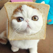 Profile Picture of Jeff Cheung (@yinnam) on Youtube