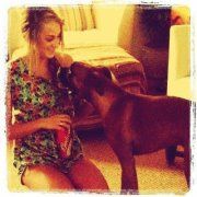 Profile Picture of Briana Marcey (@brianamarcey) on Pinterest