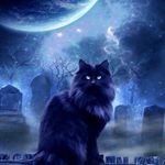 Profile Picture of Christena Riddle Clark (@christena3) on Instagram