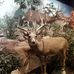 Profile Picture of James Reasoner (@james.reasoner.52) on Facebook