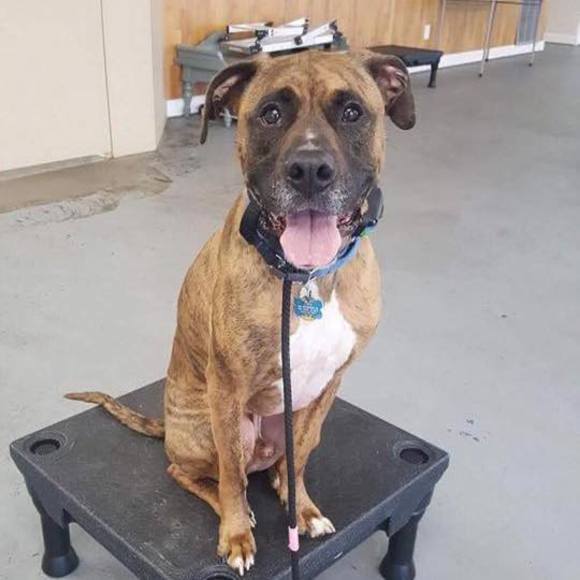 Profile Picture of Nicole Ihrie (@crshcc97) on Poshmark