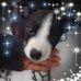 Profile Picture of Abigail Hidalgo (@abigail.hidalgo.14855) on Facebook