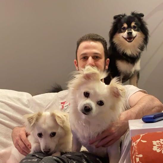 Profile Picture of Omar Obeid (@omarobeid233) on Tiktok