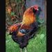 Profile Picture of Richard Berndt (@rjbern1969) on Pinterest