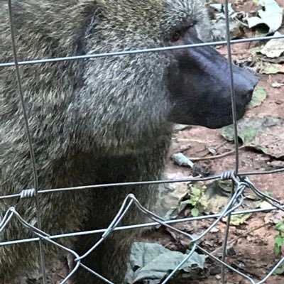 Profile Picture of Brian Worms (@BrianWorms) on Twitter