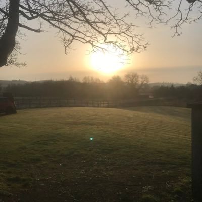 Profile Picture of Stephen Cruise (@stephencruise8) on Twitter