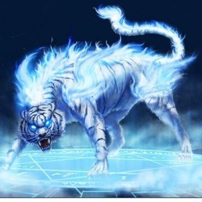 Profile Picture of Blue Flaming Tiger (@JohnnyGarner18) on Twitter