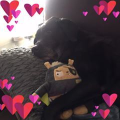 Profile Picture of Cheryl Kearns (@@cherylkearns8) on Tiktok