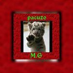 Profile Picture of Francisco Miron (@mironfrancisco) on Instagram