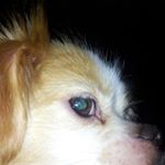 kyle mulder - Instagram Profile Picture of kyle mulder (@mulder_kyle) on Instagram