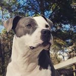 Profile Picture of Kim Daigle (@southernbayed) on Instagram