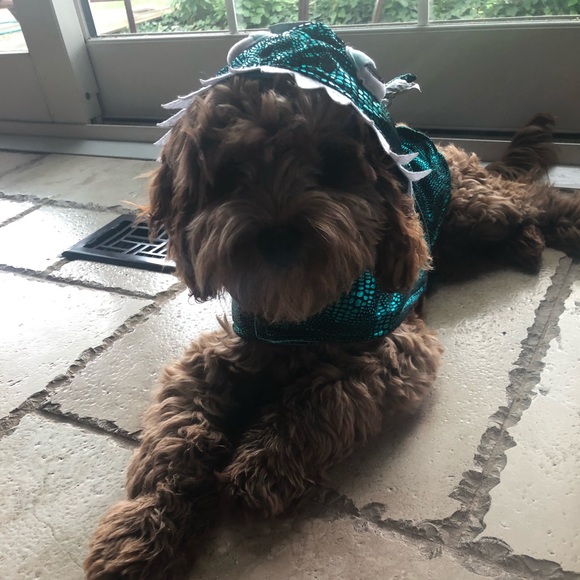 Profile Picture of Annamarie Trauner (@a_trauner) on Poshmark