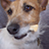 Profile Picture of Buffie Barmy (@Buffie Barmy) on Flickr