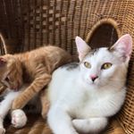 Profile Picture of Bobbi & Blue Underseth (@bobbiandblue) on Instagram