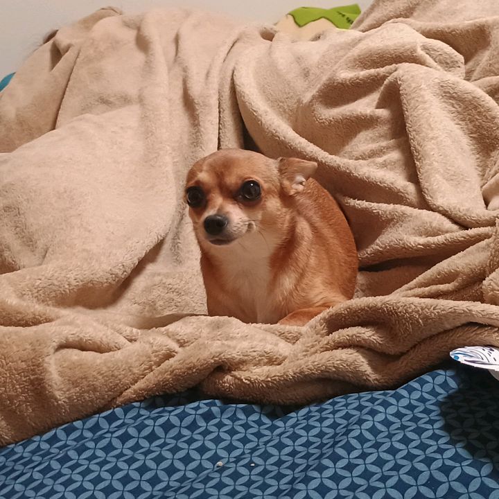 Profile Picture of Brenda (@brendamcnamee) on Tiktok