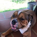 Profile Picture of Marilyn Enid Cancel Darder (@marilynenidcancel) on Instagram