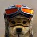 Profile Picture of Nicholas Vito (@nicholas.vito.351) on Facebook