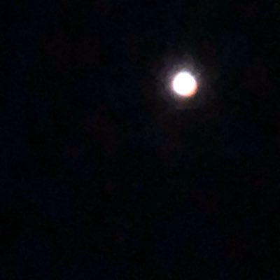 Profile Picture of Ken Hass (@kenhass) on Twitter