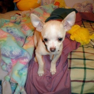 Profile Picture of Steven Kittelson (@150672386) on Myspace