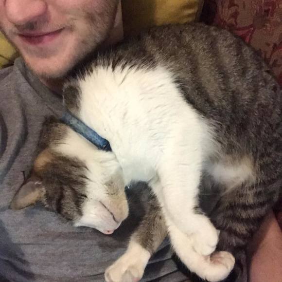 Profile Picture of Robert Jensen (@rjkazuu) on Poshmark